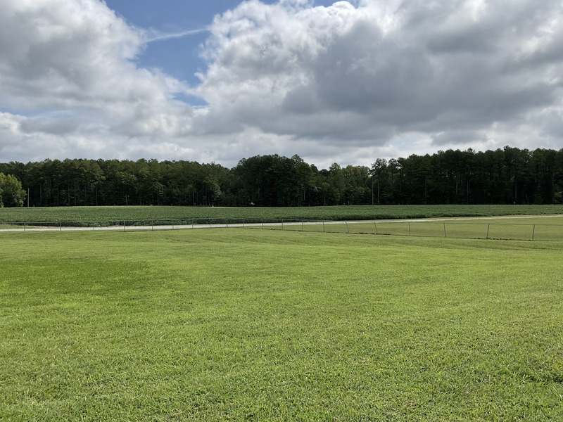 Image of forest, soy field, and lawn adjacent to RCI