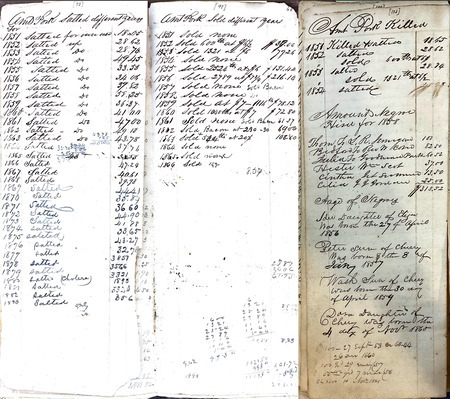 A detailed account of hog production and consumption on the Vann plantation from the 1850s to the 1880s, tracking pounds of pork killed, sold, salted, and kept—offering a vivid picture of how livestock shaped both business and daily life.